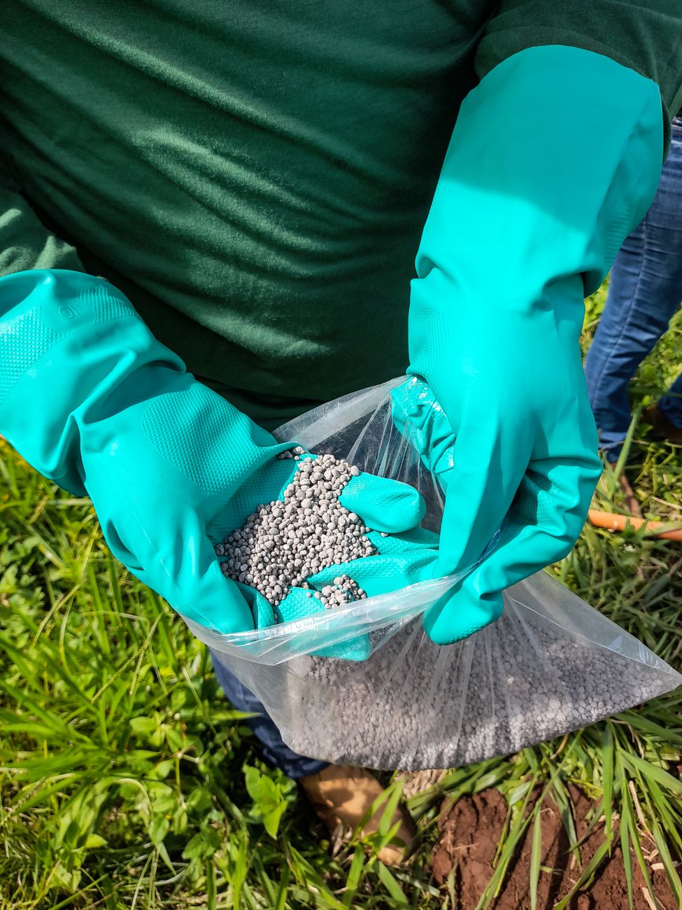 Organsko gnojivo za povrće 5kg